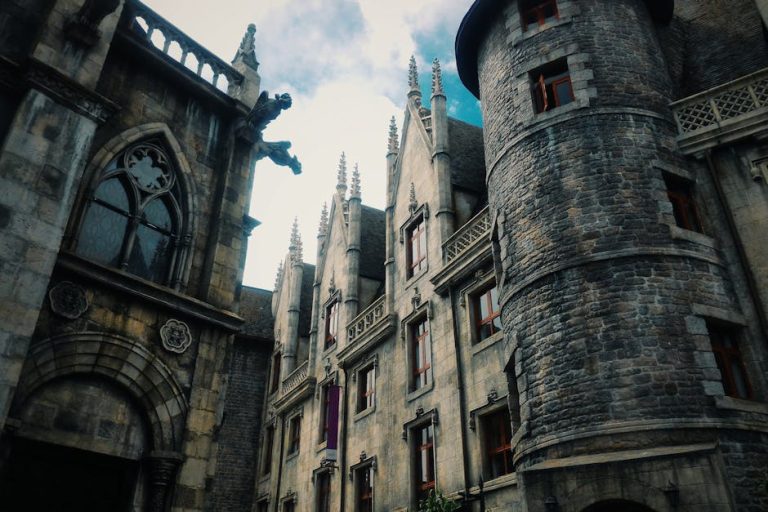 Mes Châteaux de la Loire
