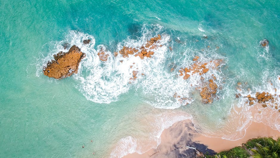 Calanques de Cassis à pied facile : Votre guide pour une randonnée turquoise